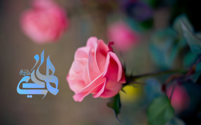 https://asmayasin.ir/picture/1/0birth-alialhadi2-1.jpg